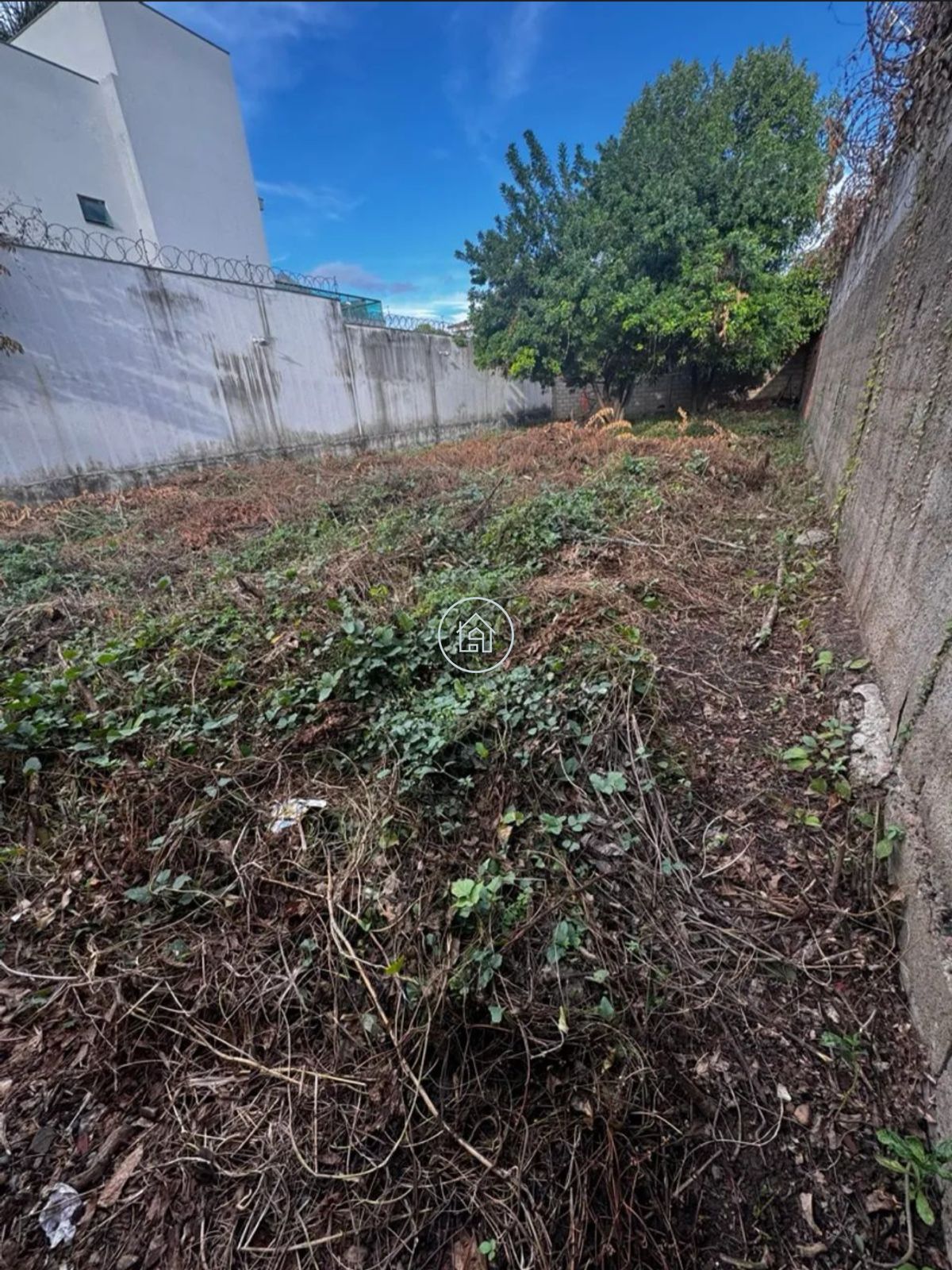 Terreno, 360 m² - Foto 3