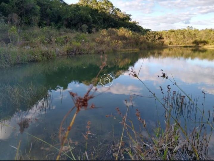Fazenda, 497 hectares - Foto 3