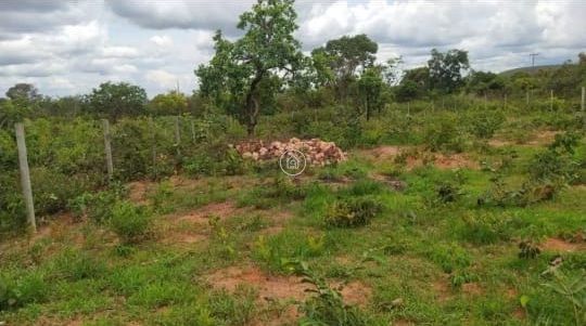 Terreno, 1000 m² - Foto 1