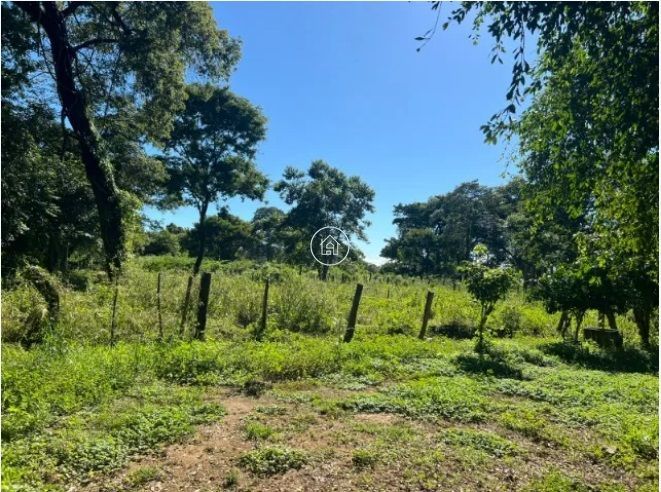 Chácara, 2 quartos, 12 hectares - Foto 9