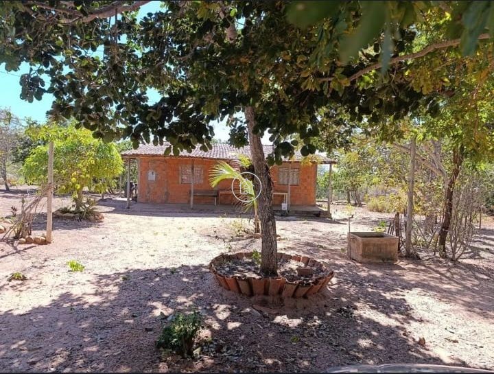 Chácara, 2 quartos, 10000 m² - Foto 16