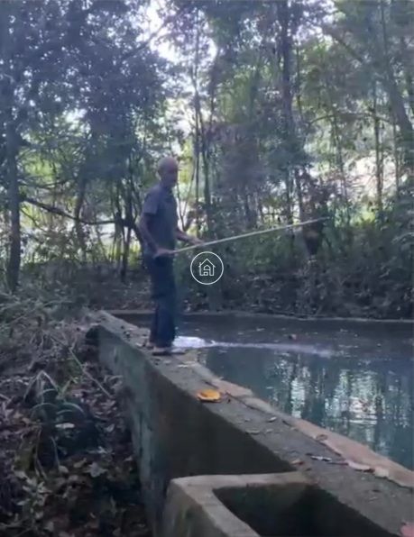 Fazenda, 60 hectares - Foto 4