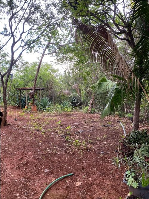 Chácara, 2 quartos, 3 hectares - Foto 4