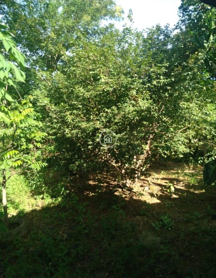 Chácara, 1 quarto, 1000 m² - Foto 3