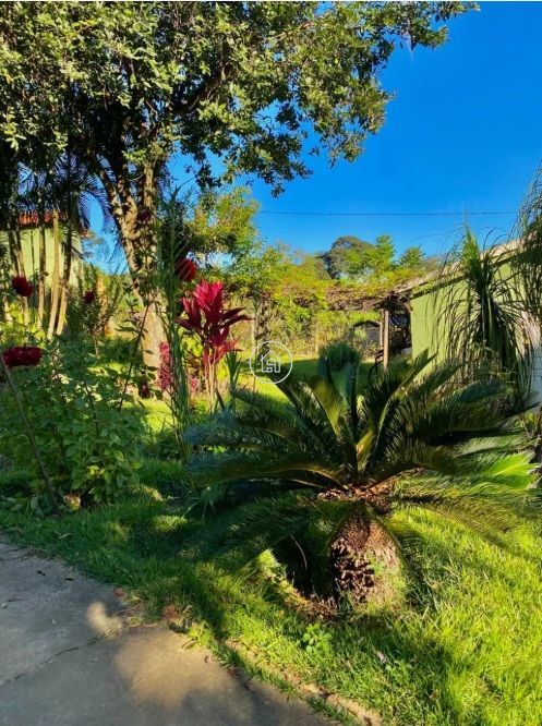 Fazenda, 60 hectares - Foto 2