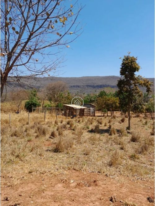 Chácara, 3 quartos, 2 hectares - Foto 7