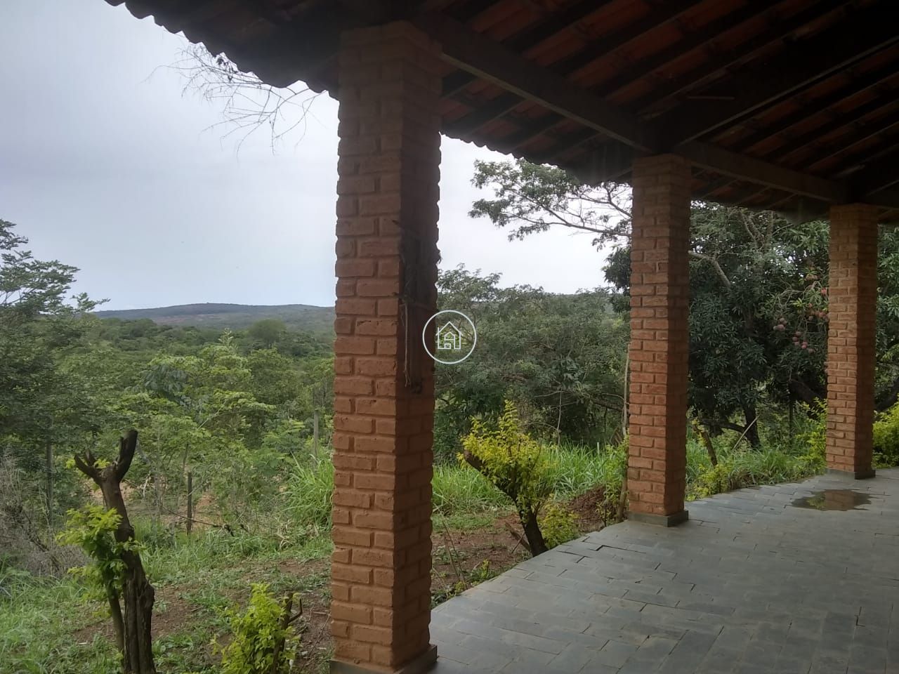 Fazenda, 58 hectares - Foto 12