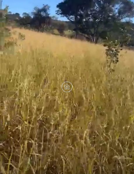 Fazenda, 60 hectares - Foto 3