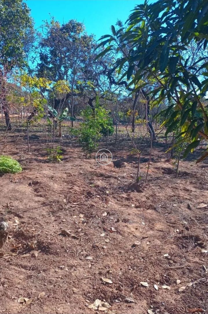 Chácara, 2 quartos, 1500 m² - Foto 7