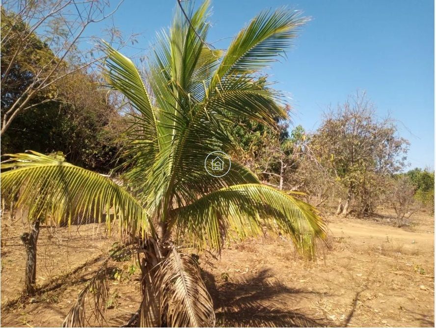 Chácara, 4 quartos, 2500 m² - Foto 10