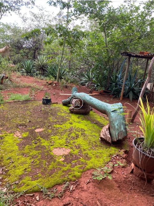 Chácara, 2 quartos, 3 hectares - Foto 2