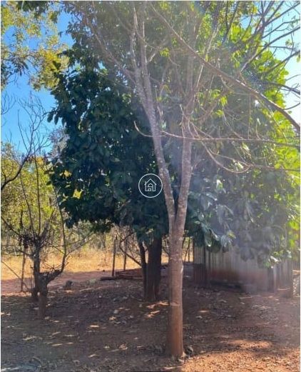 Sítio, 3 quartos, 1600 m² - Foto 7