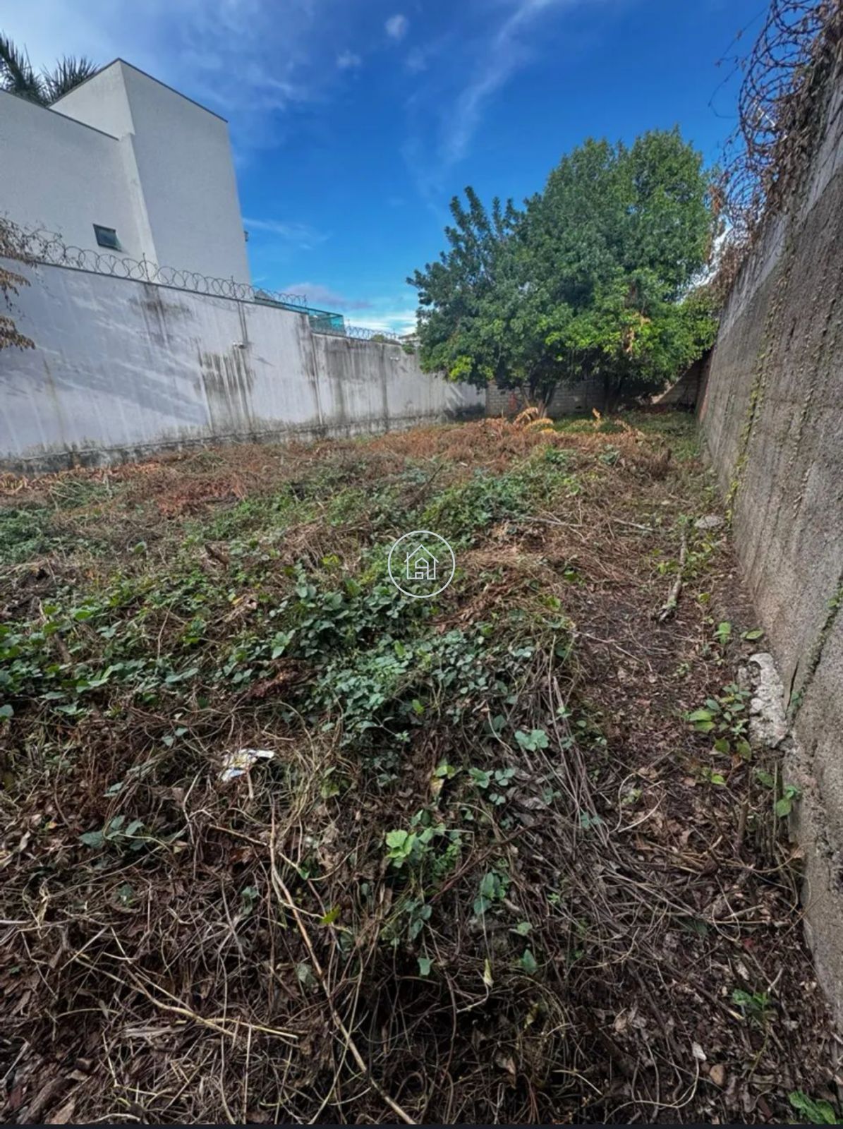 Terreno, 360 m² - Foto 4
