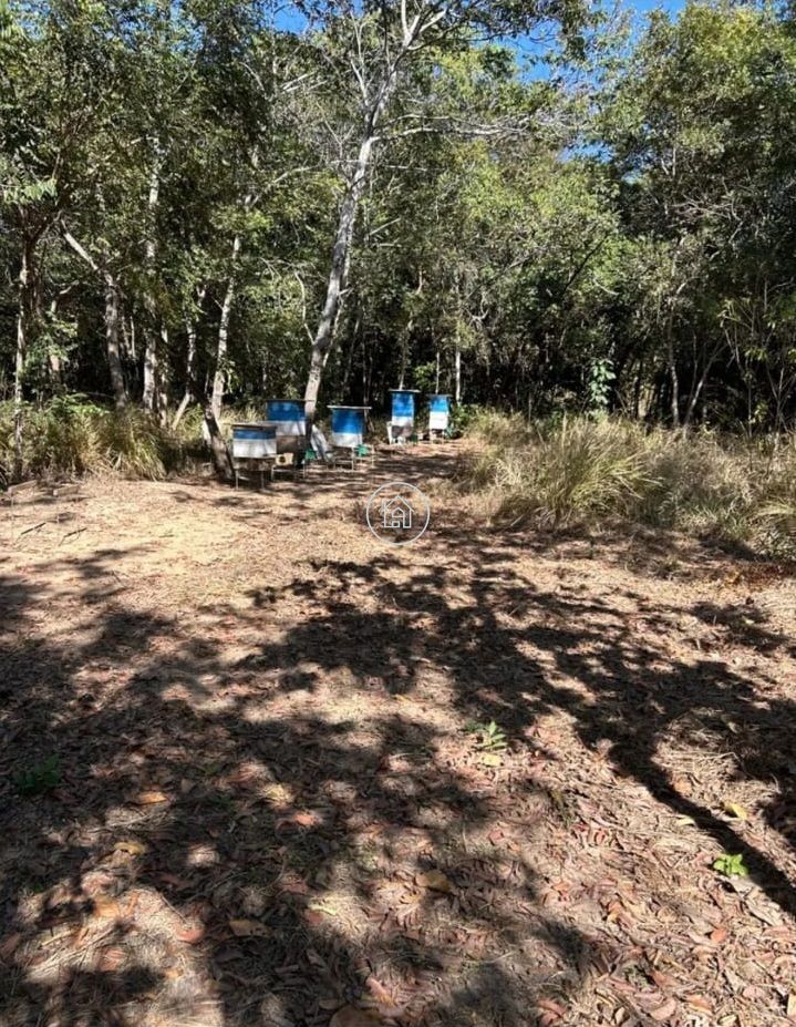 Sítio, 3 quartos, 3 hectares - Foto 5