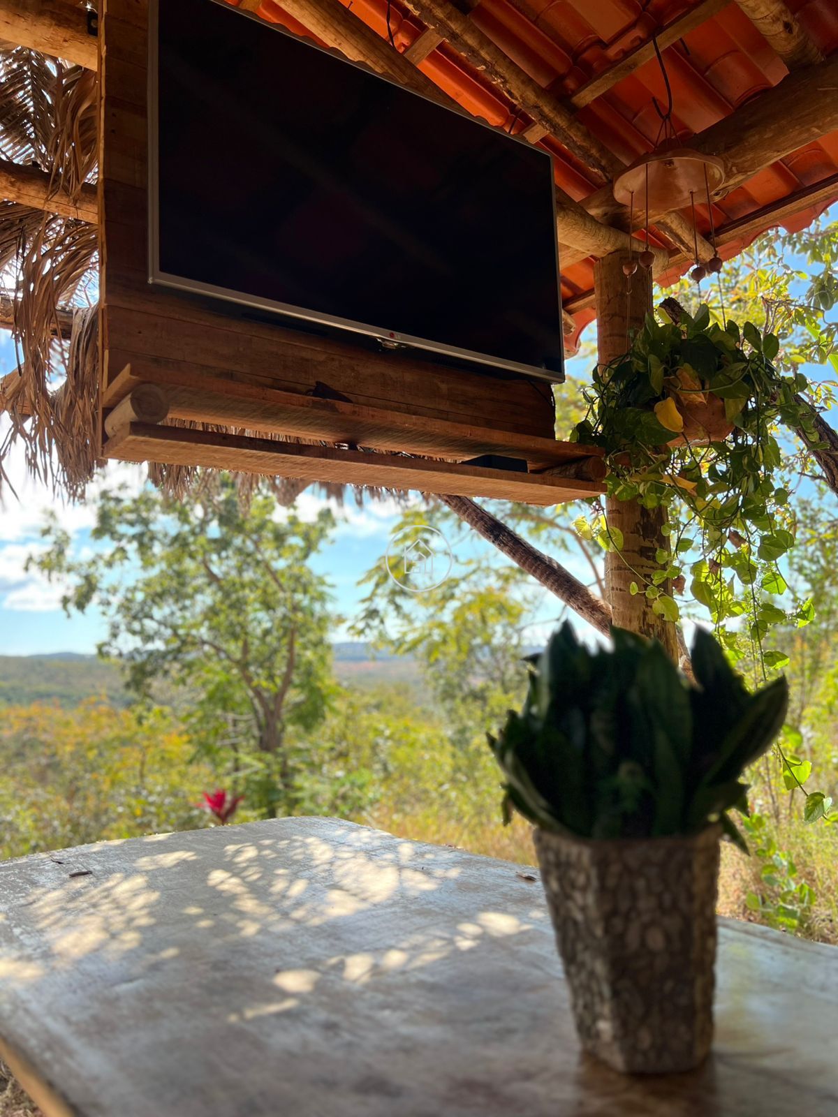 Chácara, 2 quartos, 2999 m² - Foto 23