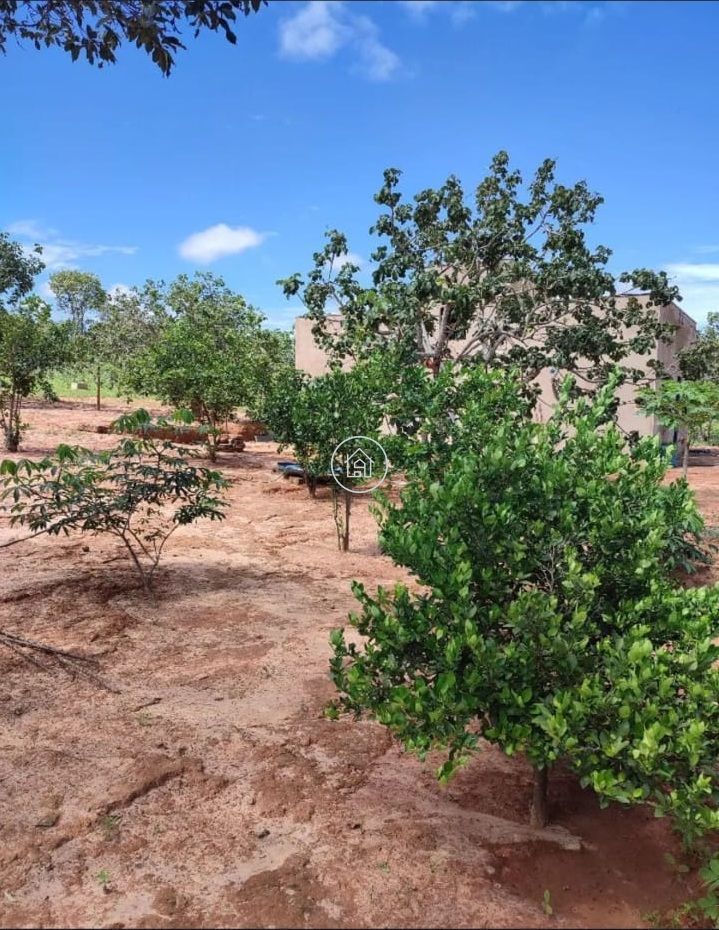 Chácara, 2 quartos, 2 hectares - Foto 18