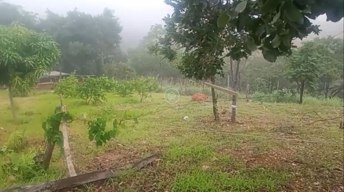 Chácara, 2 quartos, 10000 m² - Foto 3