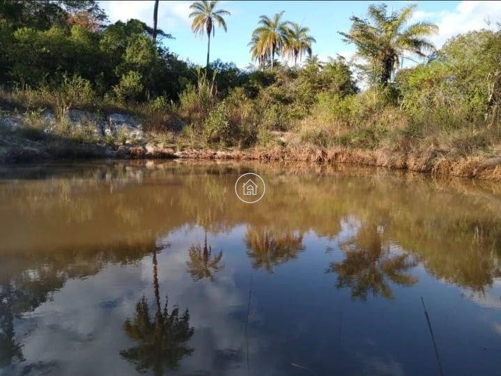 Fazenda, 497 hectares - Foto 8