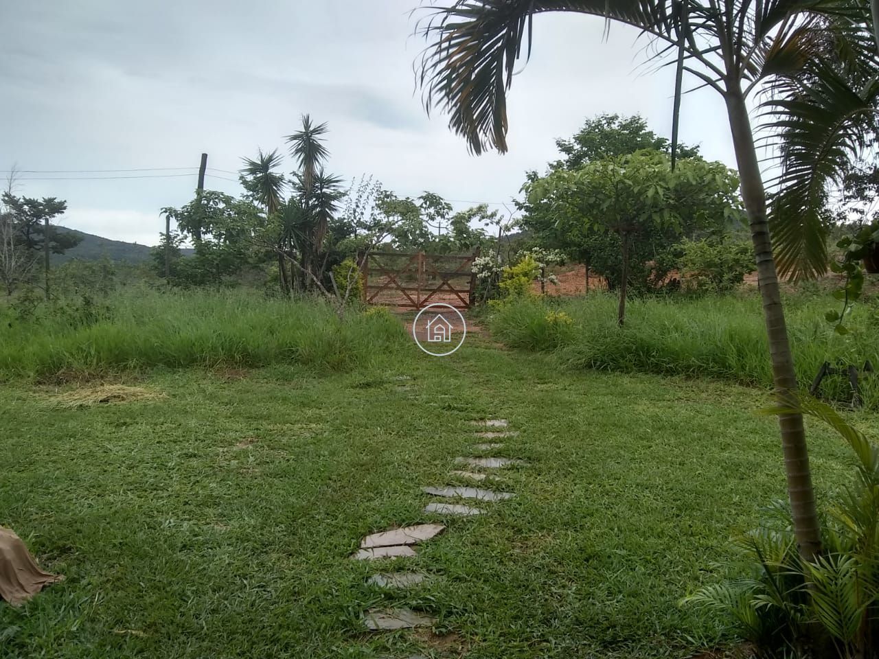 Fazenda, 58 hectares - Foto 14