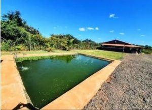 Chácara, 2 quartos, 2000 m² - Foto 1