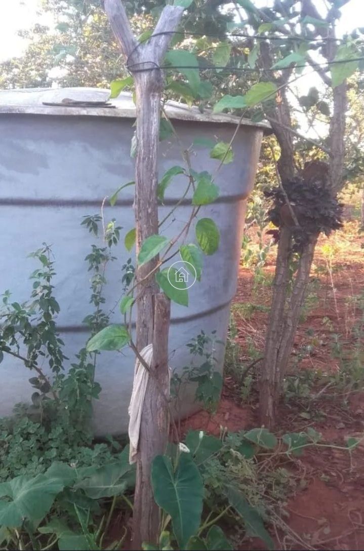 Terreno, 10000 m² - Foto 5