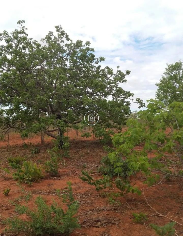 Terreno, 10000 m² - Foto 2