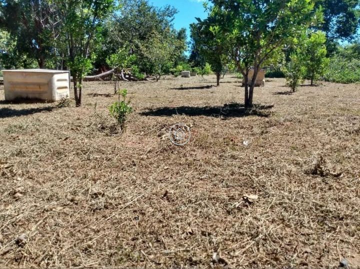 Chácara, 2 quartos, 10000 m² - Foto 2