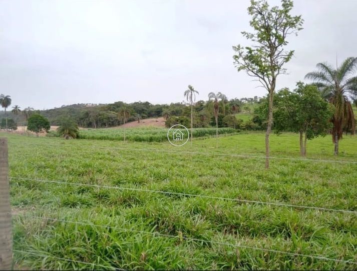 Fazenda, 497 hectares - Foto 15