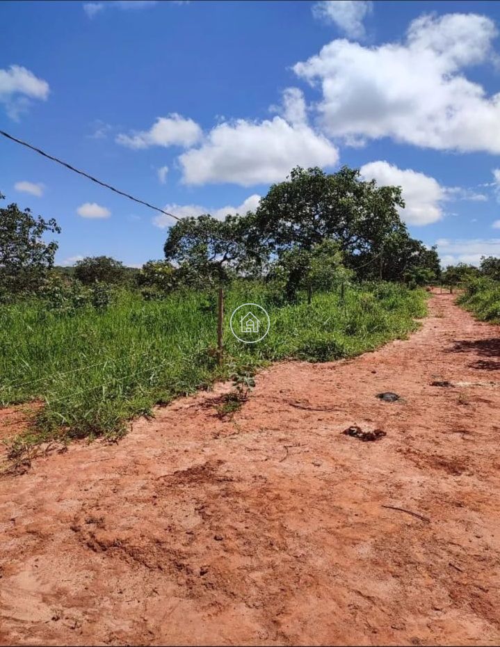 Chácara, 2 quartos, 2 hectares - Foto 6