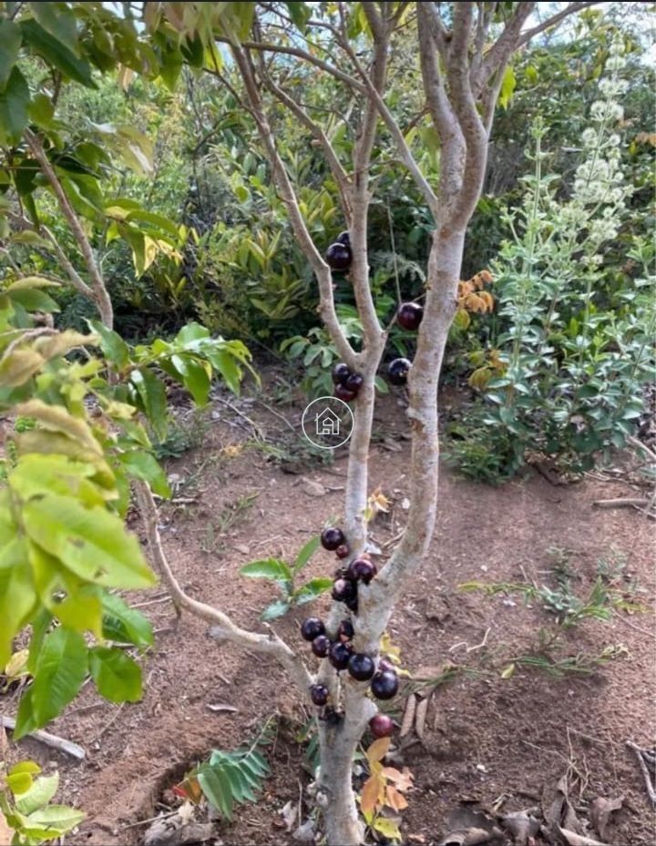 Chácara, 1 quarto, 2000 m² - Foto 8