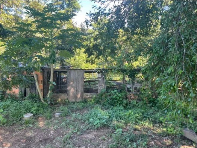 Chácara, 2 quartos, 12 hectares - Foto 12