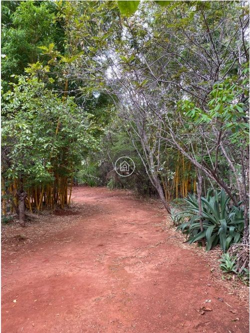 Chácara, 2 quartos, 3 hectares - Foto 3