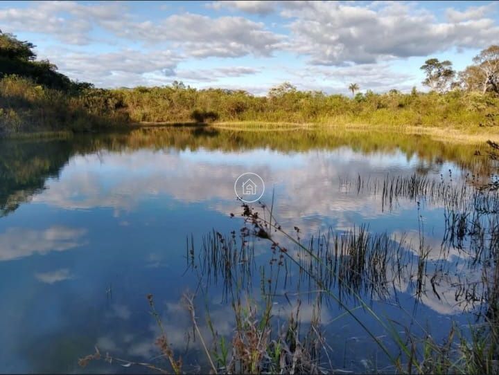 Fazenda, 497 hectares - Foto 6