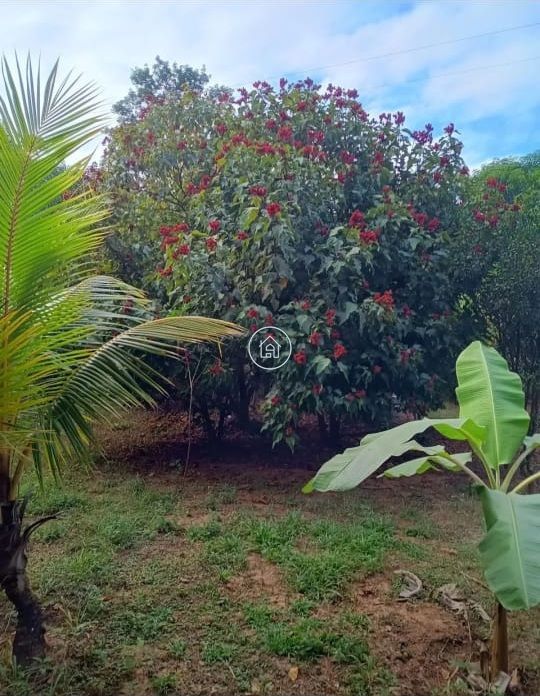 Chácara, 2 quartos, 7000 m² - Foto 10