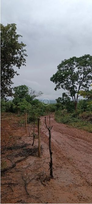 Sítio, 2 quartos, 19 hectares - Foto 10