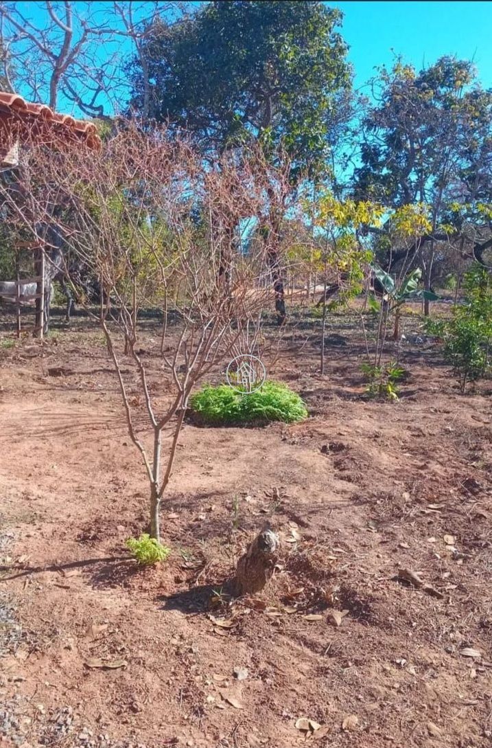 Chácara, 2 quartos, 1500 m² - Foto 11