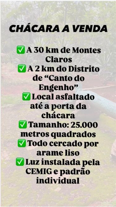 Chácara, 2 quartos, 3 hectares - Foto 6