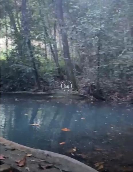 Fazenda, 60 hectares - Foto 7