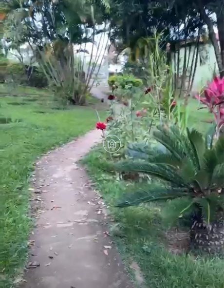 Fazenda, 60 hectares - Foto 6