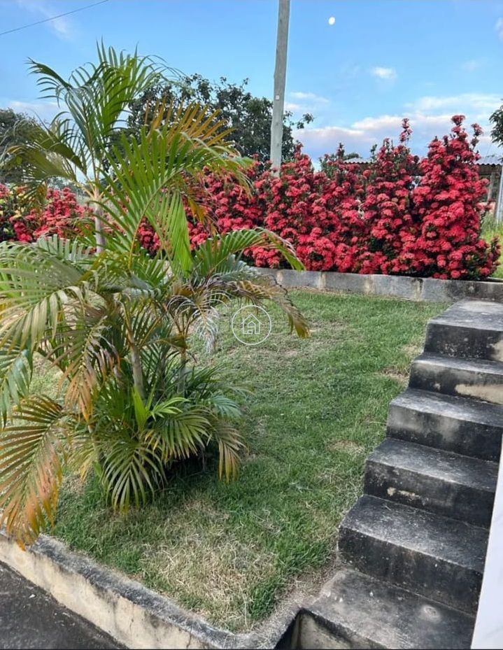 Sítio, 3 quartos, 3 hectares - Foto 16