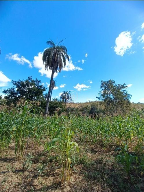 Sítio, 2 quartos, 19 hectares - Foto 6