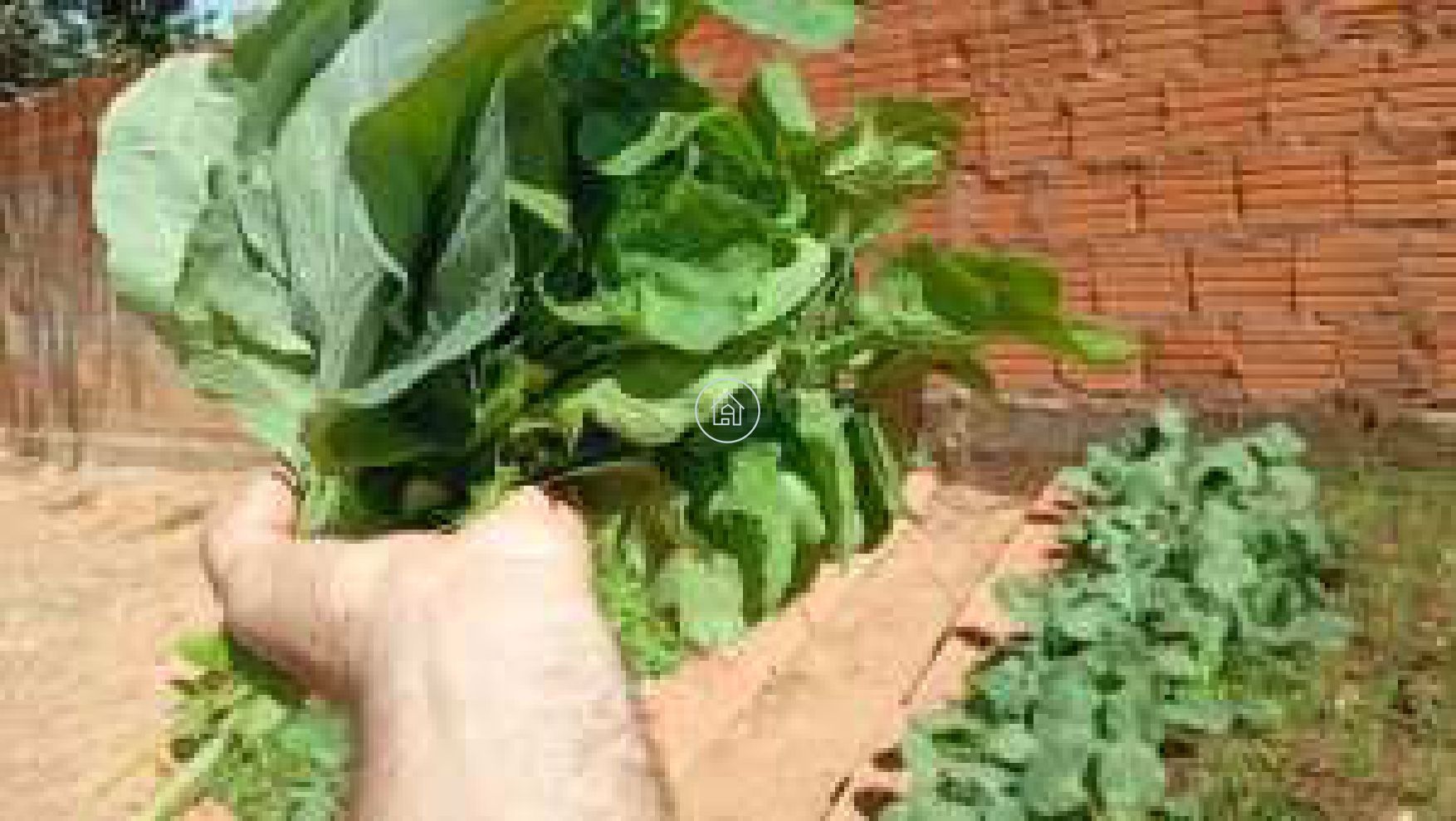 Terreno, 600 m² - Foto 5