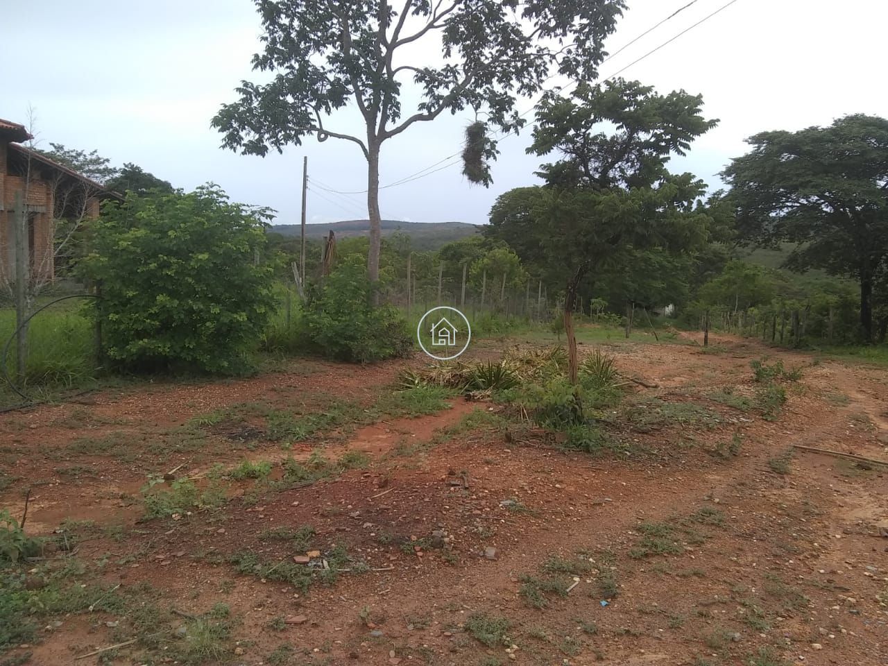 Fazenda, 58 hectares - Foto 19