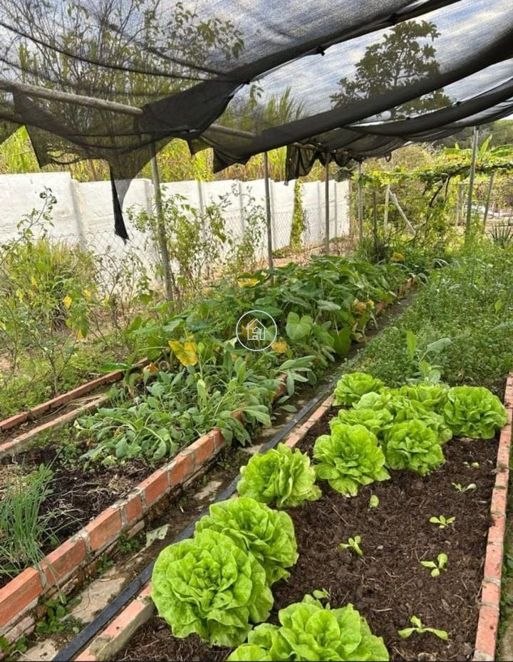 Sítio, 3 quartos, 3 hectares - Foto 10