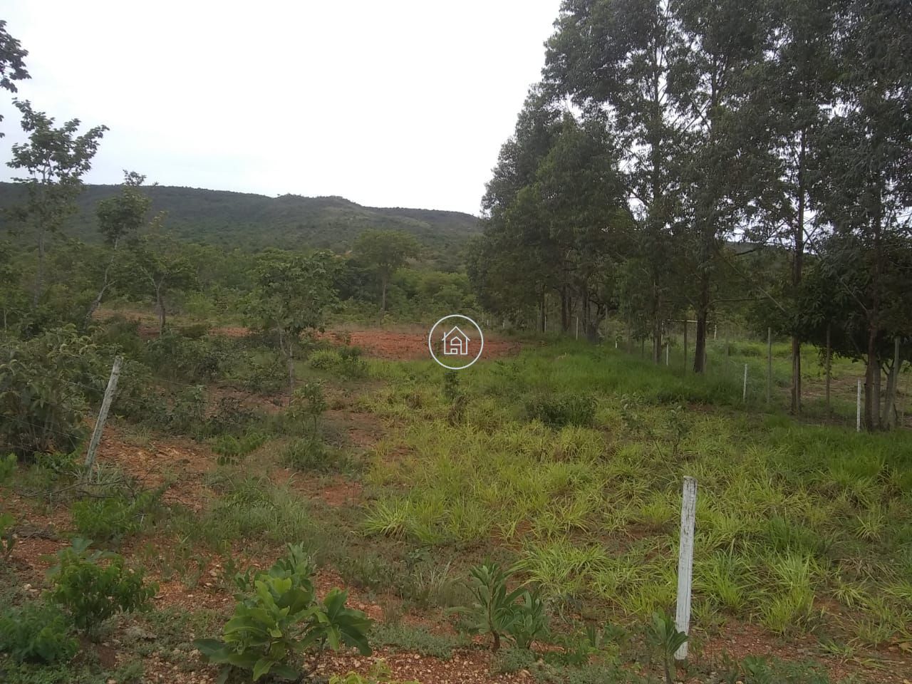 Fazenda, 58 hectares - Foto 6