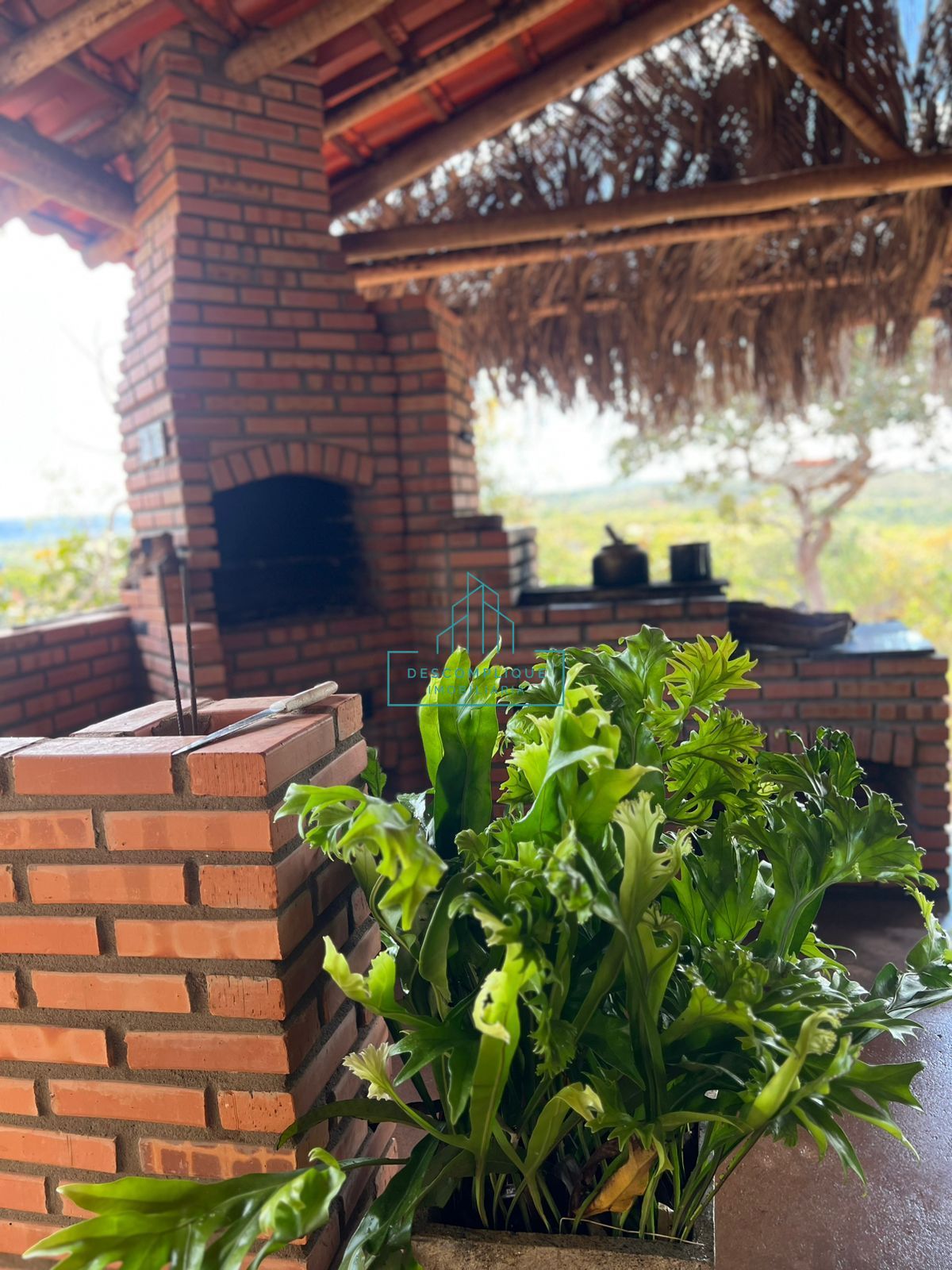 Chácara à venda com 2 quartos, 2999m² - Foto 7