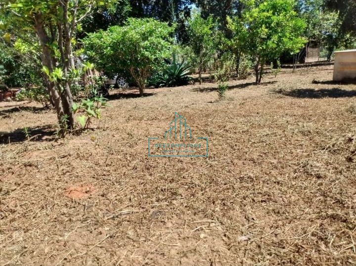 Chácara à venda com 2 quartos, 10000m² - Foto 10