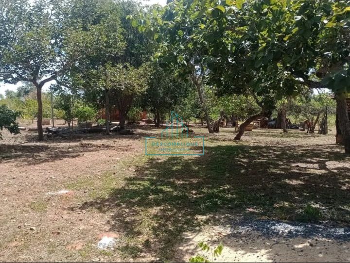 Chácara à venda com 2 quartos, 10000m² - Foto 15