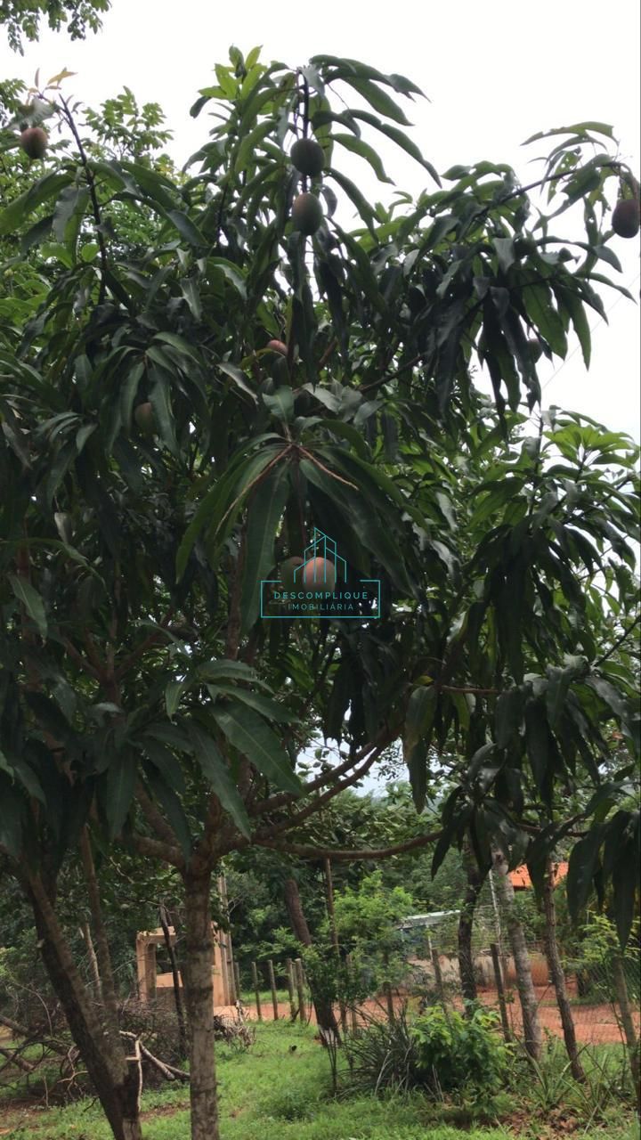 Chácara à venda com 2 quartos, 2000m² - Foto 5