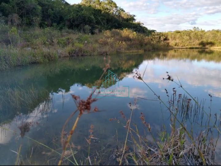 Fazenda à venda com 3 quartos, 4974068m² - Foto 3